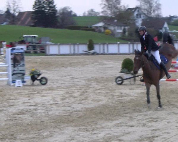 Reitturnier Wädenswil 2023