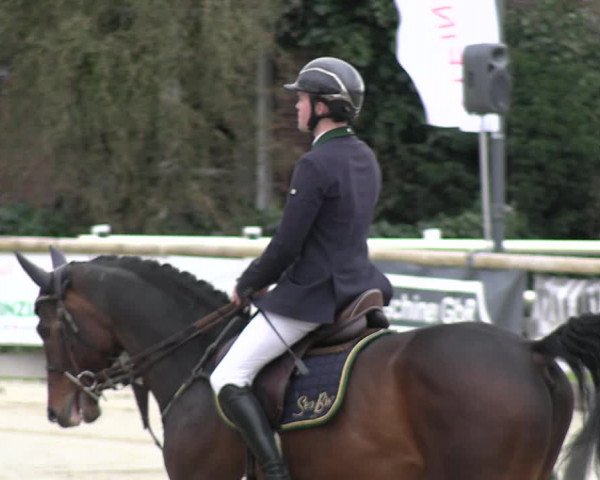 Reitturnier Werne-Lenklar 2023