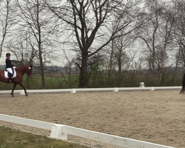 Reitturnier Elmlohe 2023