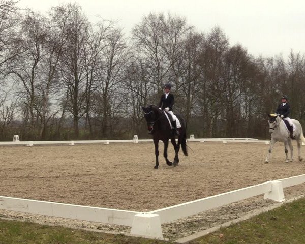 Reitturnier Elmlohe 2023