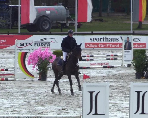Reitturnier Westergellersen 2023