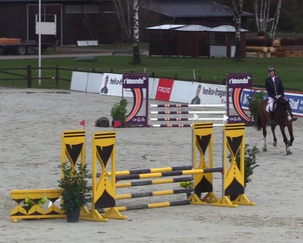 Reitturnier Westergellersen 2023