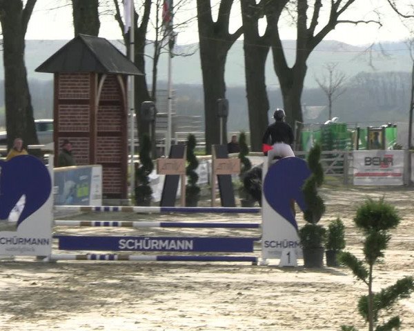 Reitturnier Werne-Lenklar 2023