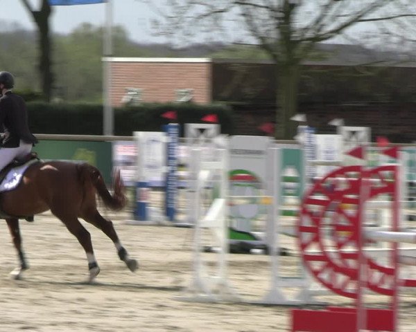 Reitturnier Werne-Lenklar 2023