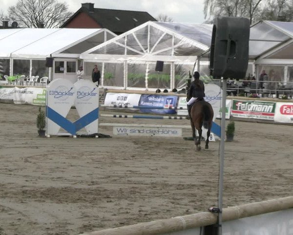 Reitturnier Werne-Lenklar 2023