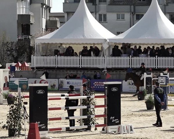 Reitturnier Amriswil 2023