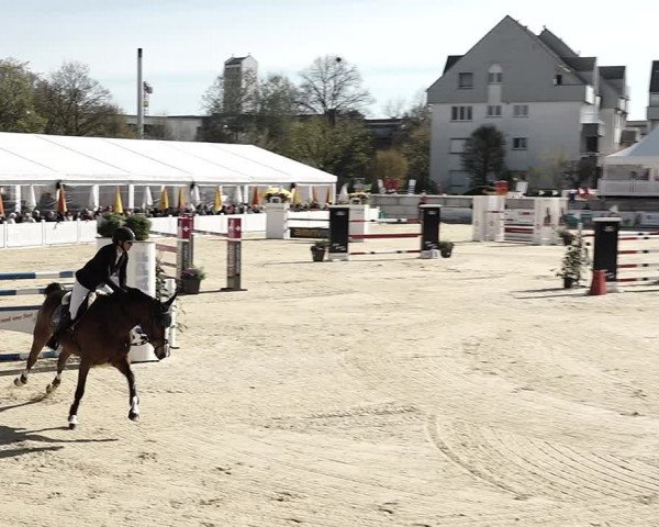 Reitturnier Amriswil 2023