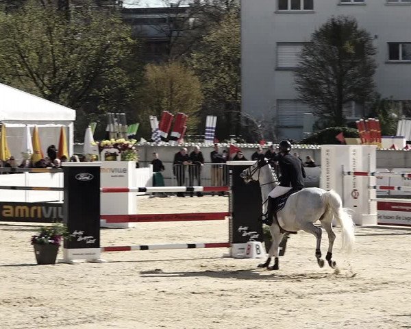 Reitturnier Amriswil 2023