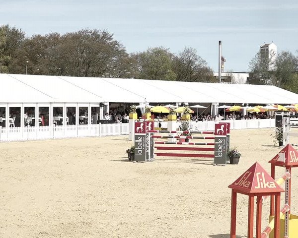 Reitturnier Amriswil 2023
