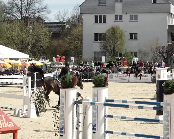 Reitturnier Amriswil 2023