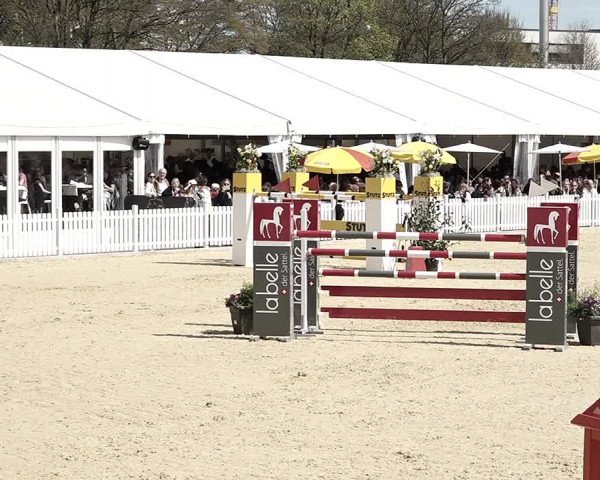 Reitturnier Amriswil 2023