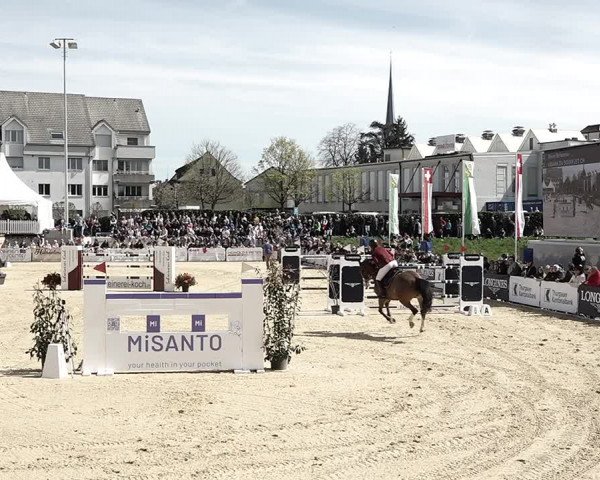 Reitturnier Amriswil 2023