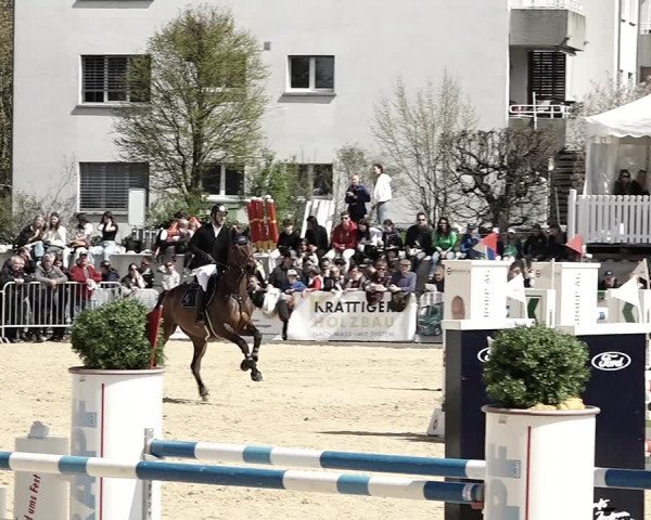 Reitturnier Amriswil 2023