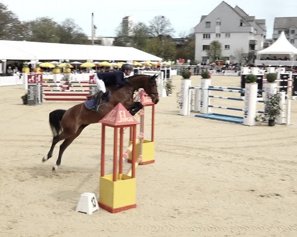 Reitturnier Amriswil 2023