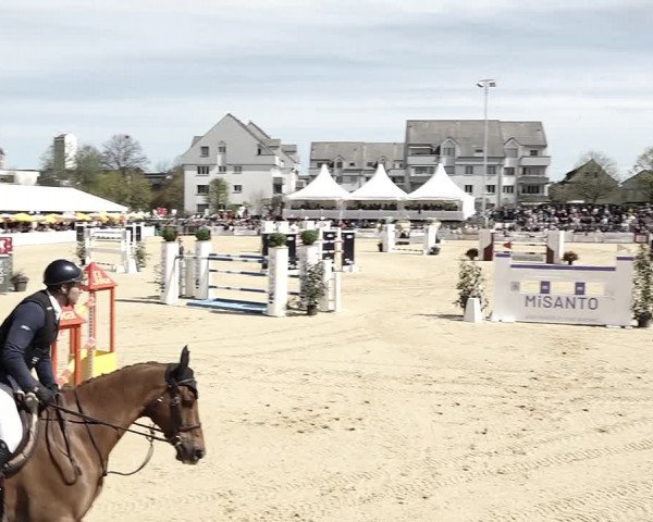 Reitturnier Amriswil 2023