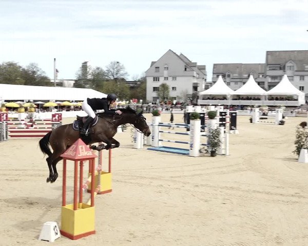 Reitturnier Amriswil 2023