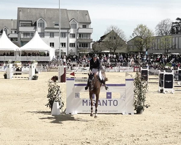 Reitturnier Amriswil 2023