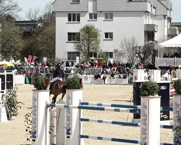 Reitturnier Amriswil 2023