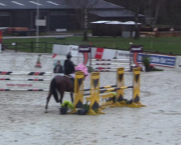 Reitturnier Westergellersen 2023