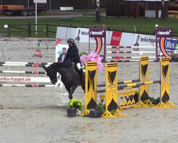 Reitturnier Westergellersen 2023