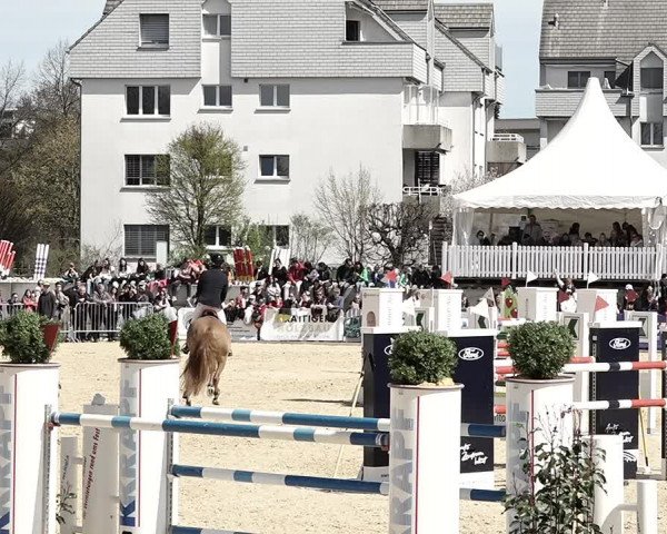 Reitturnier Amriswil 2023