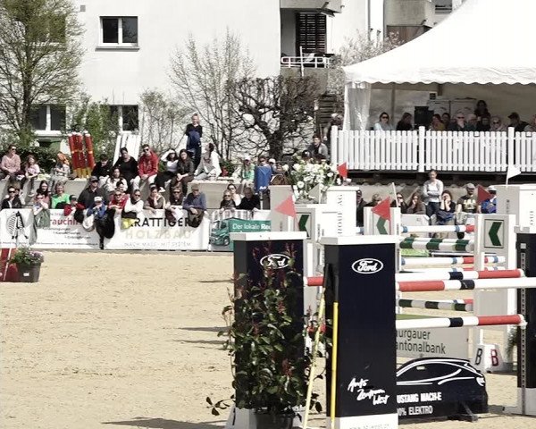Reitturnier Amriswil 2023
