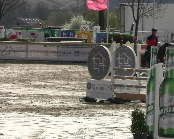 Reitturnier Werne-Lenklar 2023