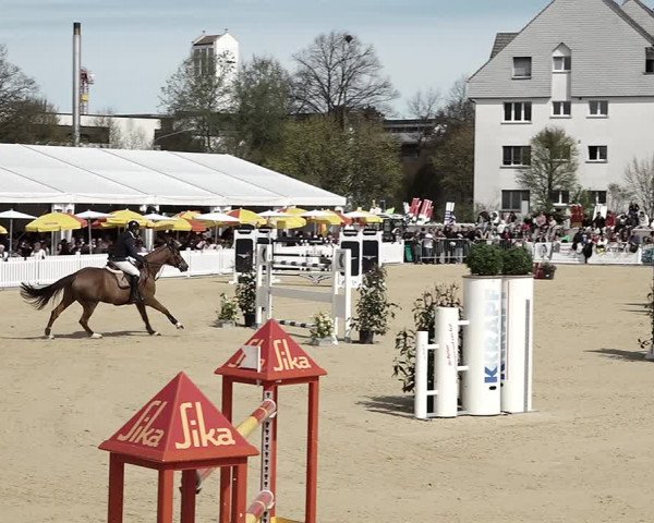 Reitturnier Amriswil 2023