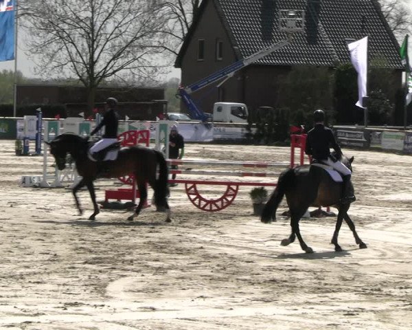 Reitturnier Werne-Lenklar 2023