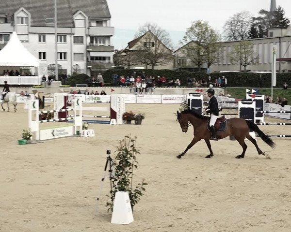 Reitturnier Amriswil 2023