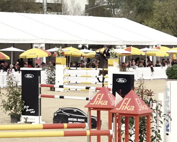 Reitturnier Amriswil 2023