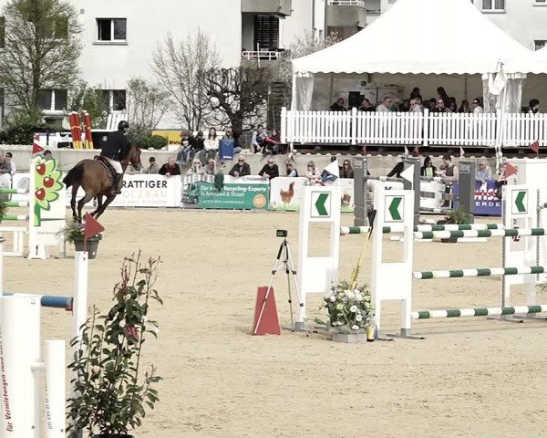 Reitturnier Amriswil 2023