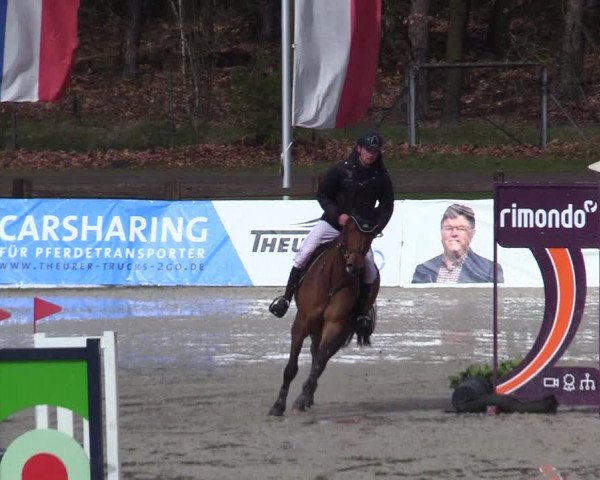 Reitturnier Westergellersen 2023