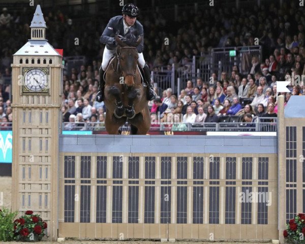 Zuchtstute Vitalhorse Ebbadya Hero (Belgium Sporthorse, 2010, von Erco van het Roosakker)