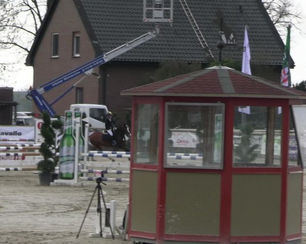 Reitturnier Werne-Lenklar 2023