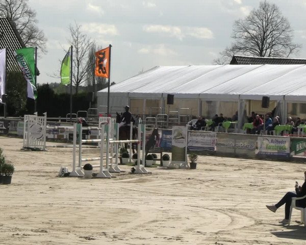 Reitturnier Werne-Lenklar 2023