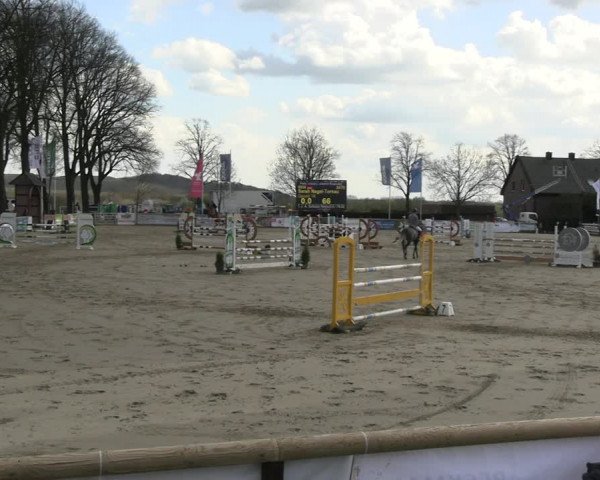 Reitturnier Werne-Lenklar 2023