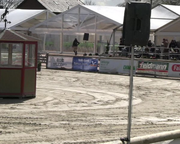 Reitturnier Werne-Lenklar 2023
