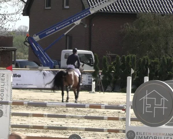 Reitturnier Werne-Lenklar 2023