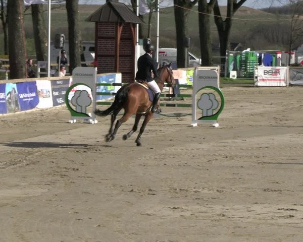 Reitturnier Werne-Lenklar 2023