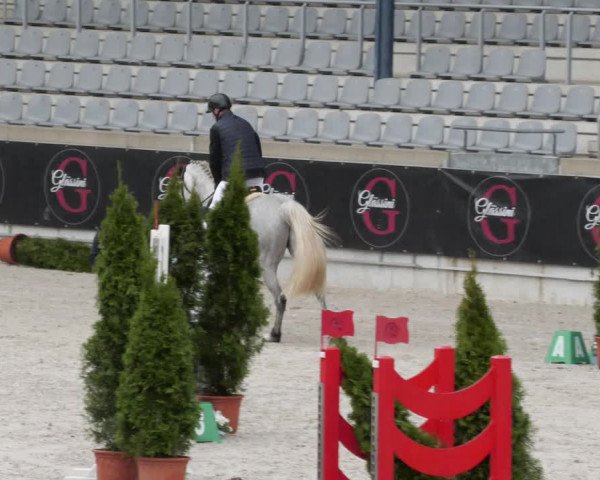 Reitturnier Aachen 2023