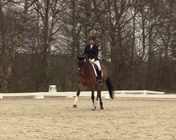 Reitturnier Elmlohe 2023