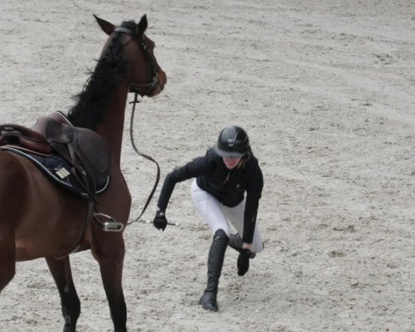 Reitturnier Aachen 2023