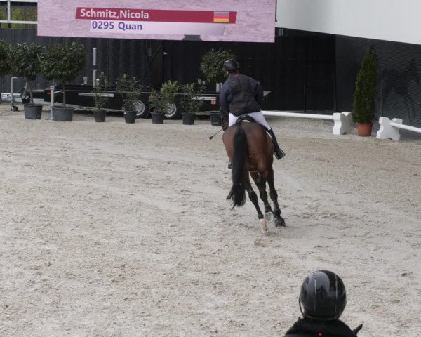 Reitturnier Aachen 2023