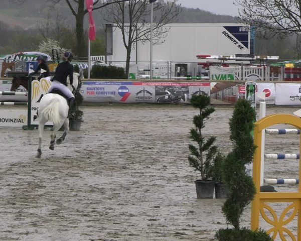 Reitturnier Werne-Lenklar 2023
