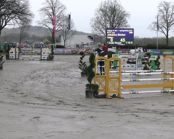 Reitturnier Werne-Lenklar 2023
