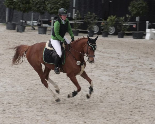 Reitturnier Aachen 2023