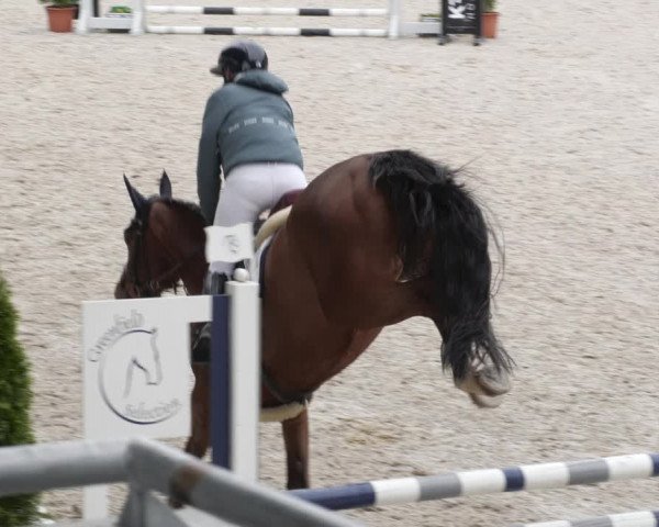 Reitturnier Aachen 2023