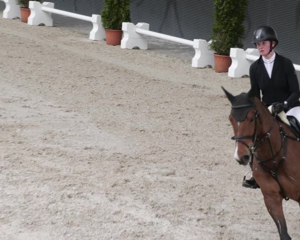 Reitturnier Aachen 2023