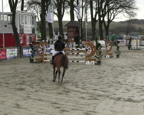 Reitturnier Werne-Lenklar 2023